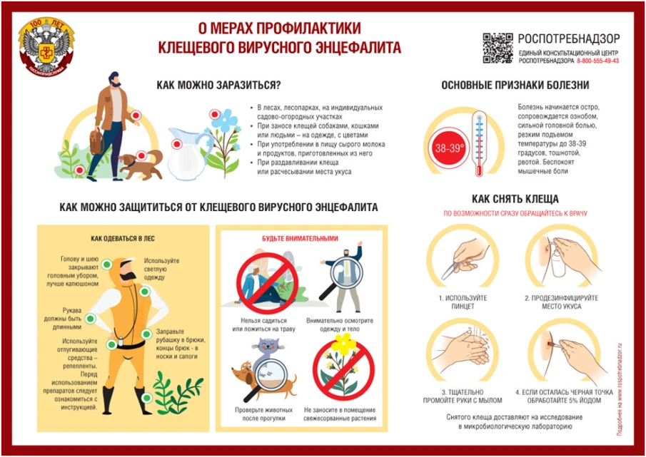 Об эпидемиологической ситуации по инфекциям, передающимися клещами